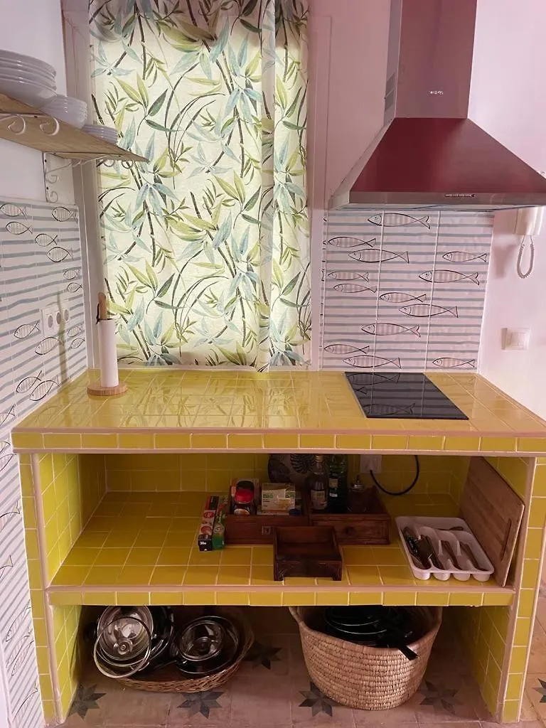 La casa del Ático Gorila Apartamento Cádis